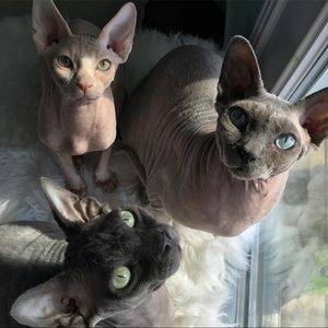 Meet your Posher, Candice